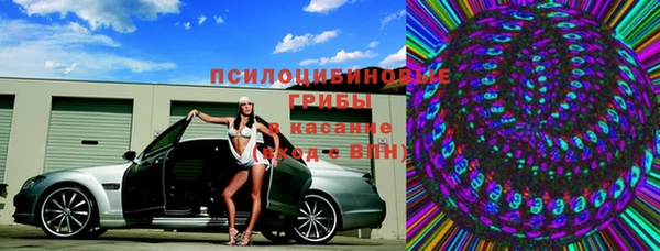прущая мука Алзамай
