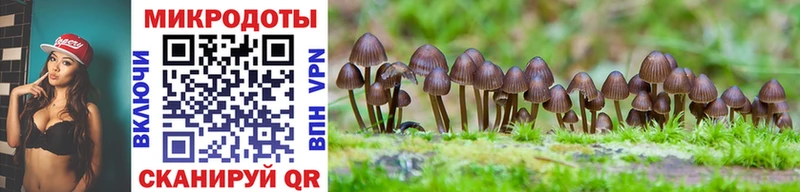 где купить наркоту Асино Псилоцибиновые грибы Psilocybe