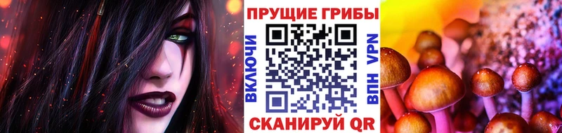 Псилоцибиновые грибы ЛСД Асино